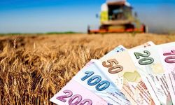 165 Milyon TL’lik Tarımsal Destekleme Ödemeleri Hesaplara Aktarılıyor!