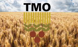 TMO’dan Üreticiye Erken Ödeme Mesajı