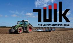 TÜİK Açıkladı: Çiftçinin Enflasyonu Yüzde 43’ü Aştı