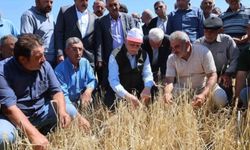 TZOB’dan Afet Mağduru Çiftçilere Destek Çağrısı!