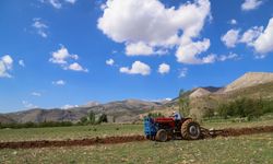 Türkiye’den 31,4 Milyar Dolarlık Tarım ve Gıda İhracatı