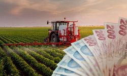 237 Milyon TL'lik Tarımsal Destekleme Ödemeleri Hesaplara Aktarılıyor!