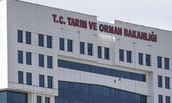 Tarım ve Orman Bakanlığında 1.156 Personel Alımı