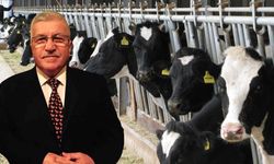 HAYKOOP’tan Solakoğlu’na Sert Tepki: “Üreticinin Ekmeğiyle Oynama”