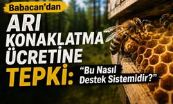 Babacan’dan Arı Konaklatma Ücretine Tepki: “Bu Nasıl Destek Sistemidir?