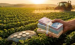 301 Milyon TL'lik Tarımsal Destekleme Ödemeleri Hesaplara Aktarılıyor!