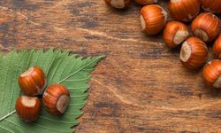 TMO Fındık Alımına Başladı! Üreticiye Kritik Uyarı!