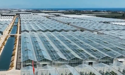 Adana’da 1,2 Milyar Liralık Sera Yatırımı!
