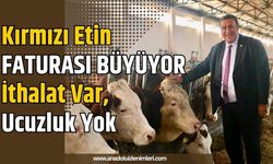 Kırmızı Etin Faturası Büyüyor: İthalat Var, Ucuzluk Yok