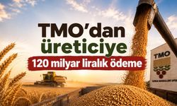TMO’dan Üreticiye 120 Milyar Liralık Ödeme!