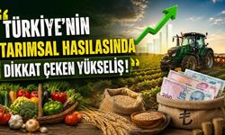 Türkiye’nin Tarımsal Hasılasında Dikkat Çeken Yükseliş!