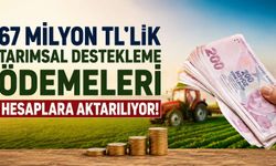 67 Milyon TL’lik Tarımsal Destekleme Ödemeleri Hesaplara Aktarılıyor!