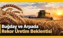 Buğday ve Arpada Rekor Üretim Beklentisi