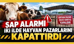 Şap Alarmı İki İlde Hayvan Pazarlarını Kapattırdı