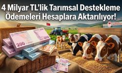 4 Milyar TL’lik Tarımsal Destekleme Ödemeleri Hesaplara Aktarılıyor!