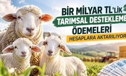 1 Milyar TL'lik Tarımsal Destekleme Ödemeleri Hesaplara Aktarılıyor!