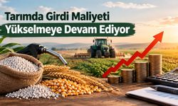 Tarımda Girdi Maliyeti Yükselmeye Devam Ediyor