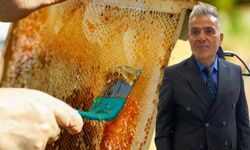 Kahramanmaraş’ın Bal Potansiyeli Büyüyor, Tanıtım İhtiyacı Sürüyor