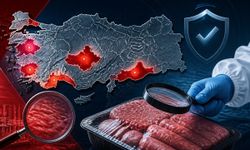 Türkiye’nin Domuz Eti Haritasında Öne Çıkan 6 Şehir!