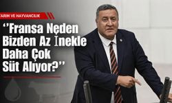 ''Fransa Neden Bizden Az İnekle Daha Çok Süt Alıyor?''