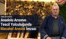 Anadolu Arısının Tescil Yolculuğunda Macahel Arıcılık İmzası