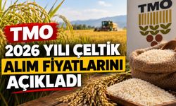 TMO 2026 Yılı Çeltik Alım Fiyatlarını Açıkladı!