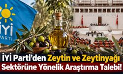 İYİ Parti’den Zeytin ve Zeytinyağı Sektörüne Yönelik Araştırma Talebi!