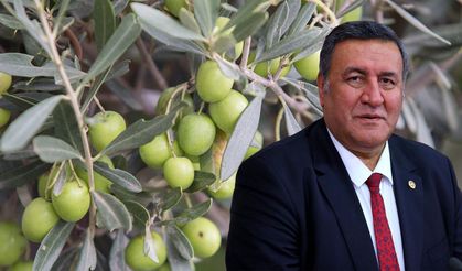 Gürer'den İktidara Çağrı: ''Sahaya İnin, Üreticiyi Dinleyin''