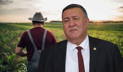 Gürer’den Kırsalda Gençler İçin Kanun Teklifi!