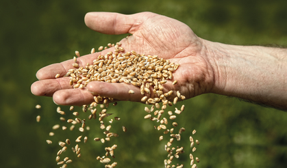 Tohumda İsrail Tartışmasına Bakan Yumaklı'dan Yanıt!