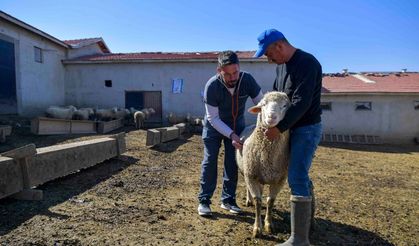 Üreticiyi En Çok Zorlayan Kaleme Destek
