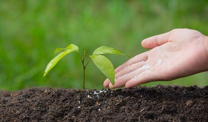 Tarım Kredi, Gübre Tedarikinde Alınan Tedbirleri Paylaştı!