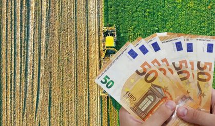 IPARD III’te 2026 Takvimi Açıklandı: Kırsala 241 Milyon Avro Hibe!