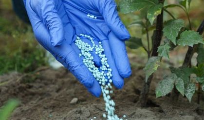 Üre Gübresinde İhracat Kısıtlaması!