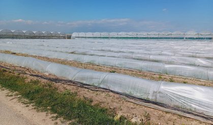 Bakanlıktan Tarsus’taki Görüntülere Yanıt: ''Gerçeği Yansıtmıyor''