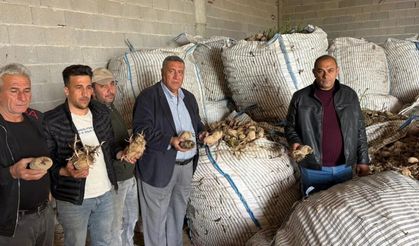 Niğdeli Patates Üreticisi Ayakta Kalma Mücadelesi Veriyor