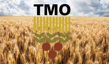 TMO’dan Üreticiye Erken Ödeme Mesajı