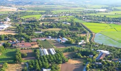 Balıkesir’e 2,5 Milyar Liralık Sera Yatırımı!
