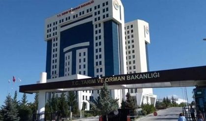 Tarım ve Orman Bakanlığı’ndan 1874 Personel Alımı Müjdesi!