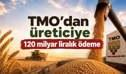 TMO’dan Üreticiye 120 Milyar Liralık Ödeme!