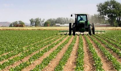 TÜİK Açıkladı: Tarım ÜFE Ağustosta Geriledi mi?