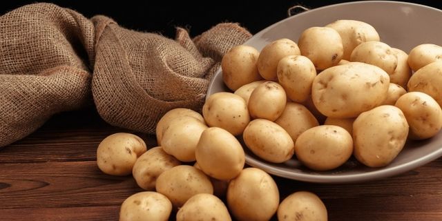 ‘Patates siğili’ Desteği Arttı!
