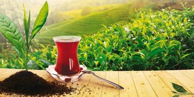 Çay İhracatı Yüzde 72 Arttı!