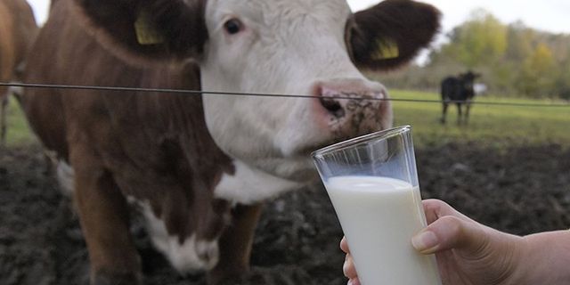 USK Toplandı, Çiğ Süt Fiyatı Değişmedi!