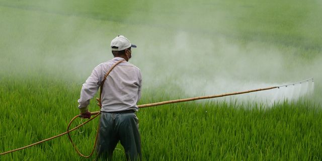Tarım’da Pestisit Sorunu