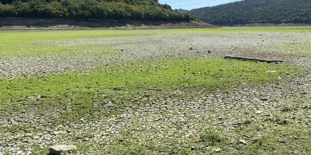 İstanbul’un Su Kaynağı Tehlikede: Gölet Tamamen Kurudu!
