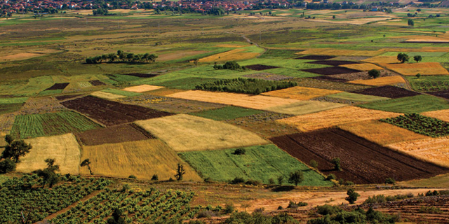 Tarımsal Üretimde Tehdit! Türkiye’de Tarım Alanları Daralıyor