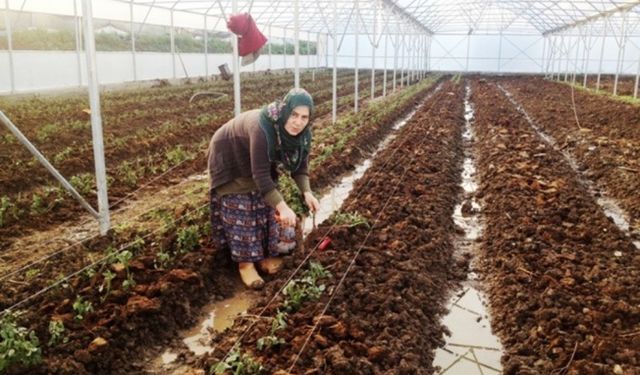 Çiftçi Analiz Sonuçlarını Alamıyor!