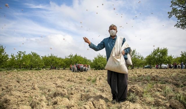 Tarım ÜFE Yüzde 151 Artış Gösterdi