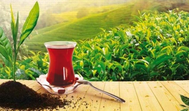Çay İhracatı Yüzde 72 Arttı!